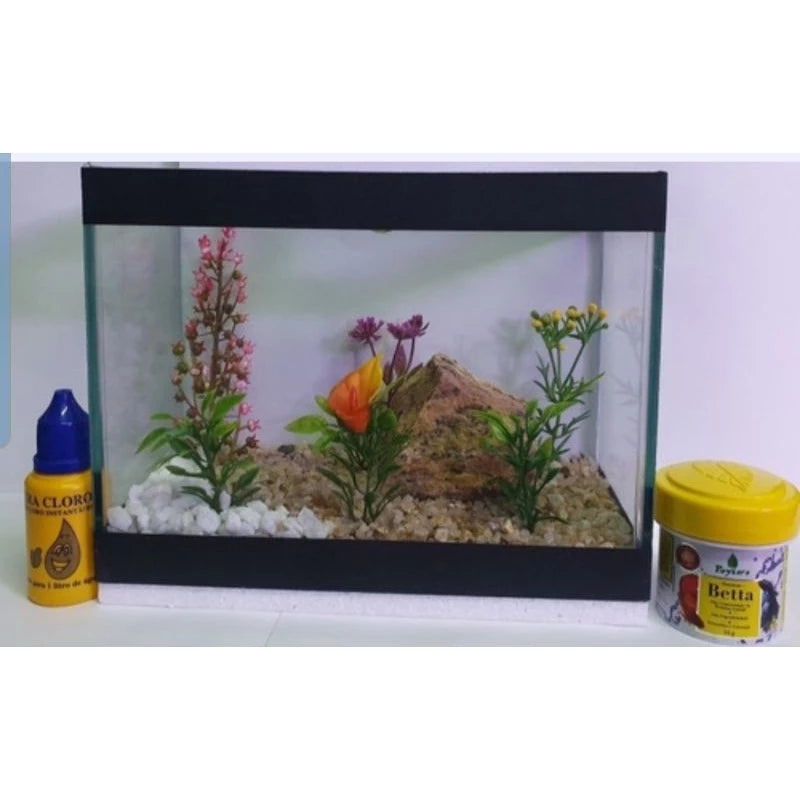 Kit para peixe betta (Ração + Rede + Anti Cloro + Folha descanso)