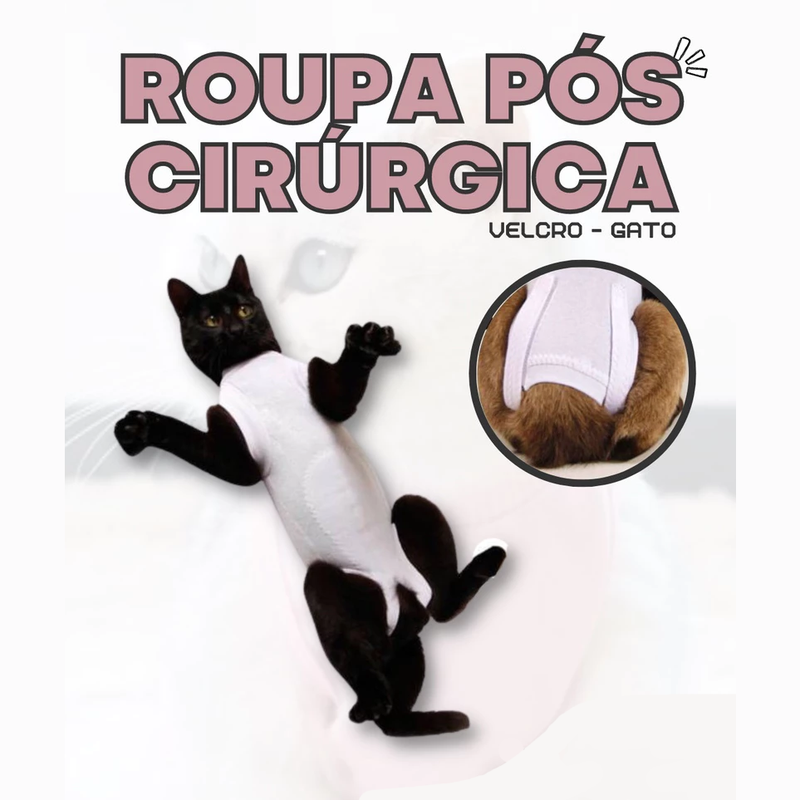 Roupa pós cirúrgica com velcro para gato