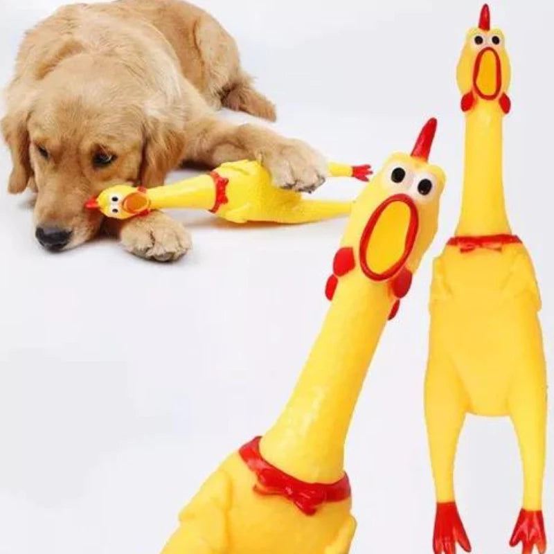 Kit com 10 brinquedos sortidos para cães