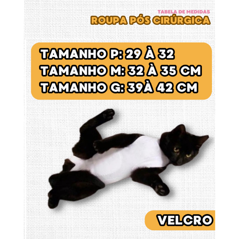 Roupa pós cirúrgica com velcro para gato